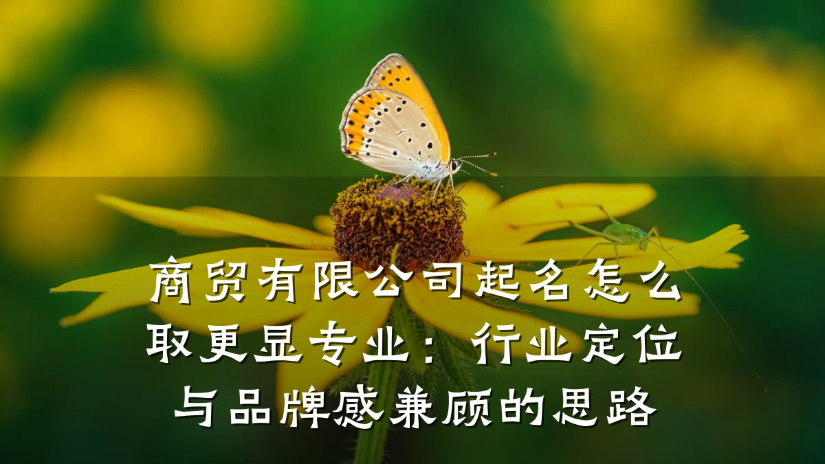 商贸有限公司起名怎么取更显专业:行业定位与品牌感兼顾的思路