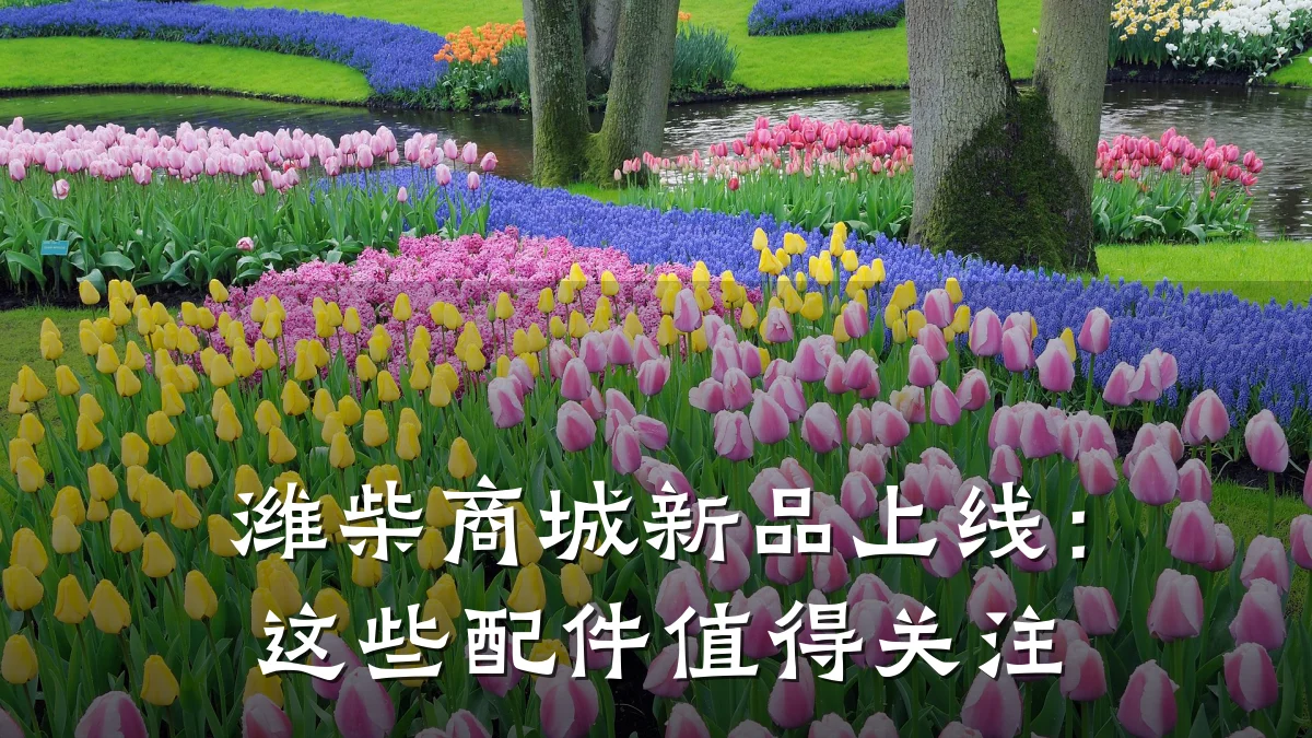 潍柴商城新品上线:这些配件值得关注