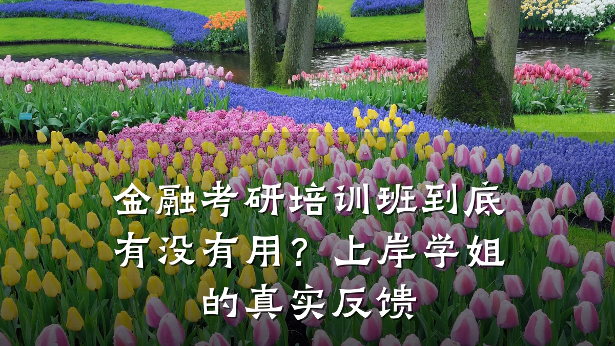 金融考研培训班到底有没有用?上岸学姐的真实反馈