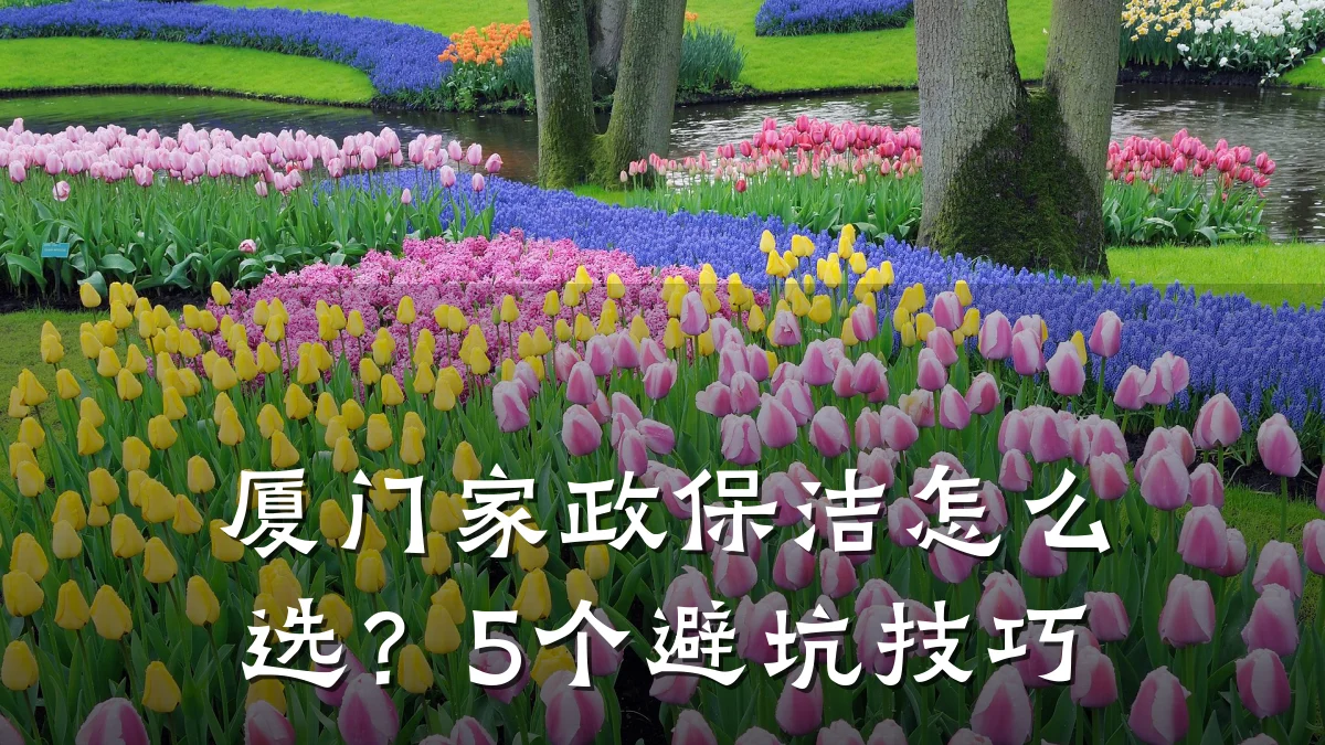 厦门家政保洁怎么选?5个避坑技巧