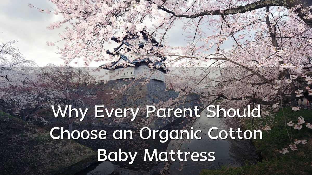 Why Every Parent Should Choose an Organic Cotton Baby Mattress