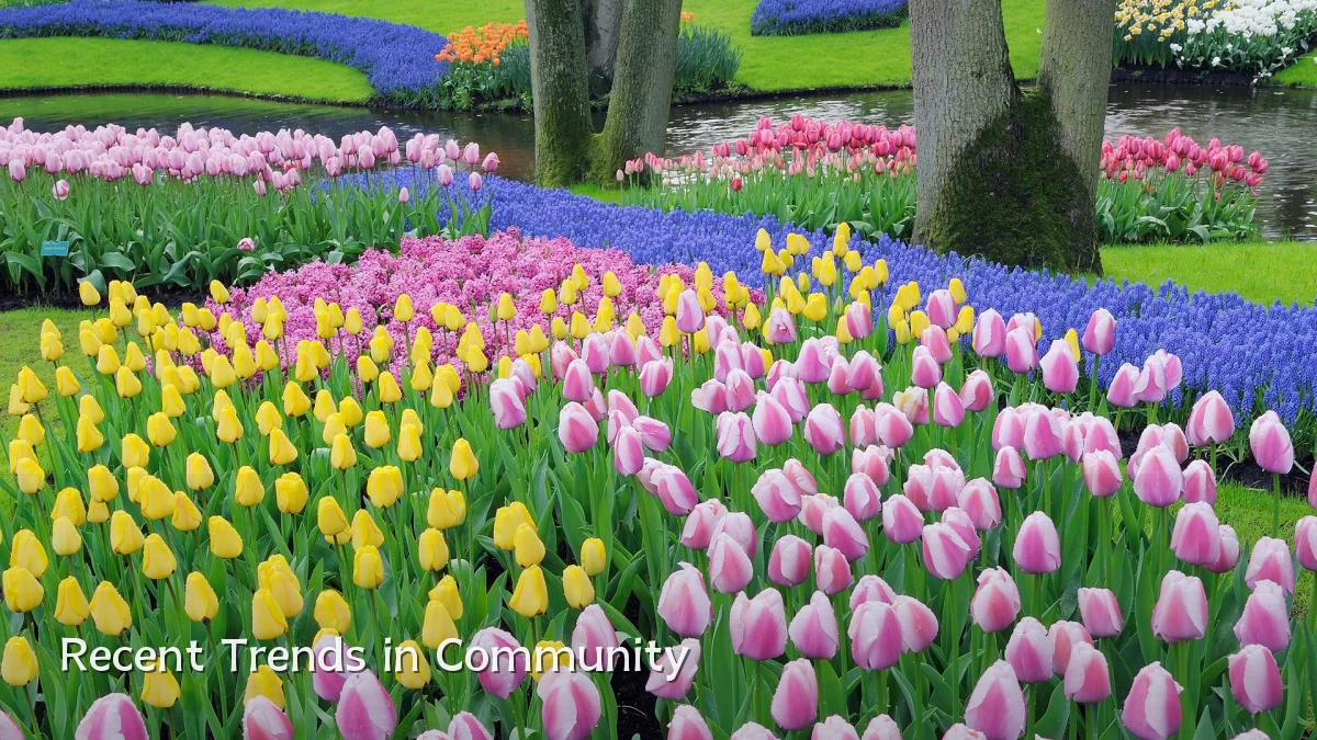 Recent Trends in Community