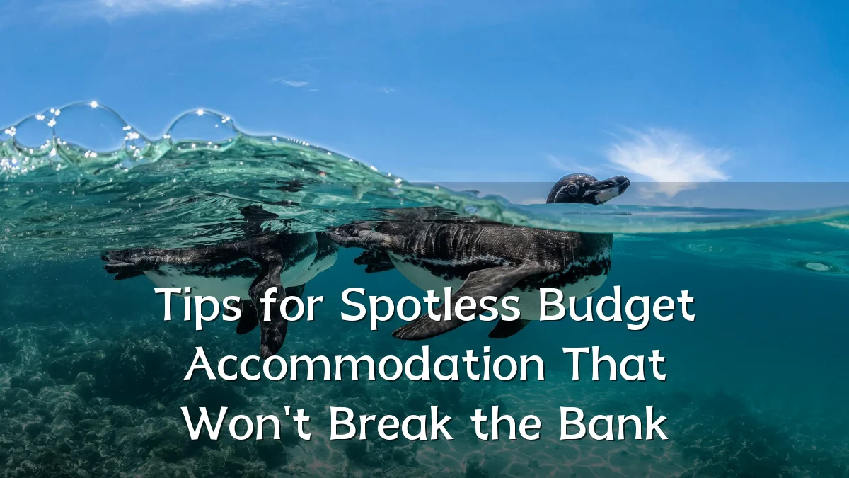 Tips for Spotless Budget Accommodation That Won't Break the Bank