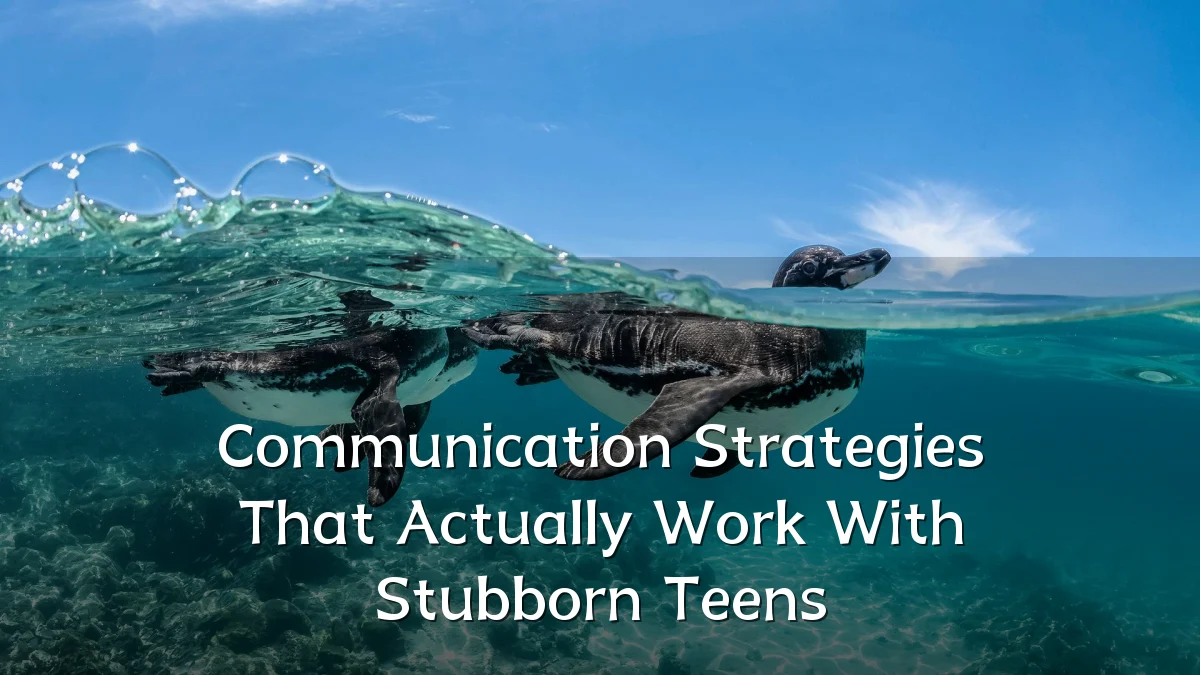 Communication Strategies That Actually Work With Stubborn Teens