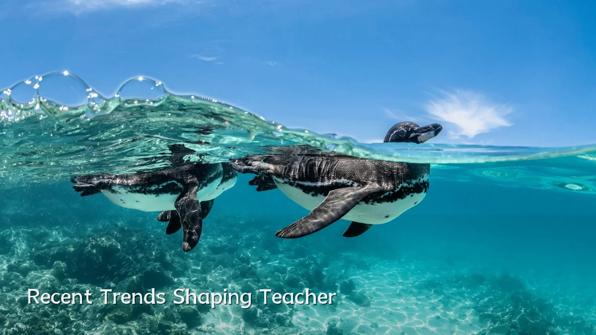 Recent Trends Shaping Teacher