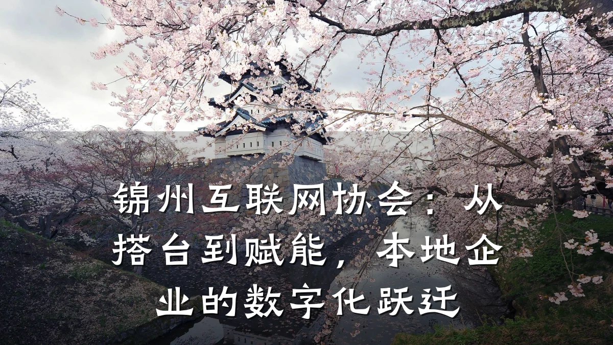 锦州互联网协会:从搭台到赋能,本地企业的数字化跃迁