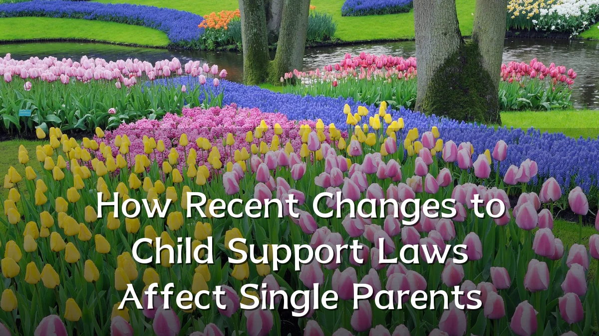 How Recent Changes to Child Support Laws Affect Single Parents