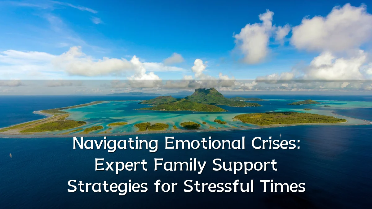 Navigating Emotional Crises: Expert Family Support Strategies for Stressful Times