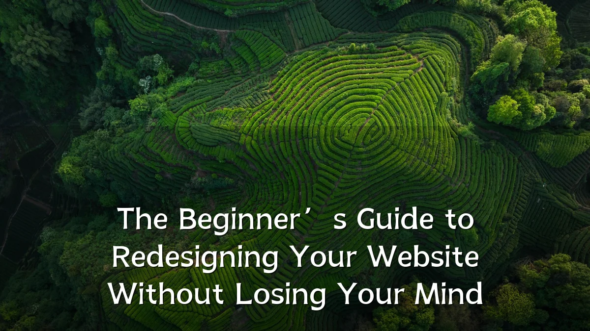 The Beginner’s Guide to Redesigning Your Website Without Losing Your Mind