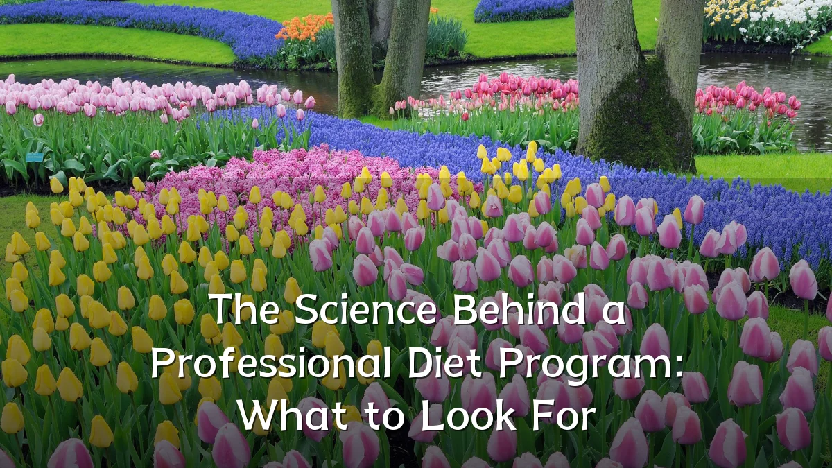 The Science Behind a Professional Diet Program: What to Look For