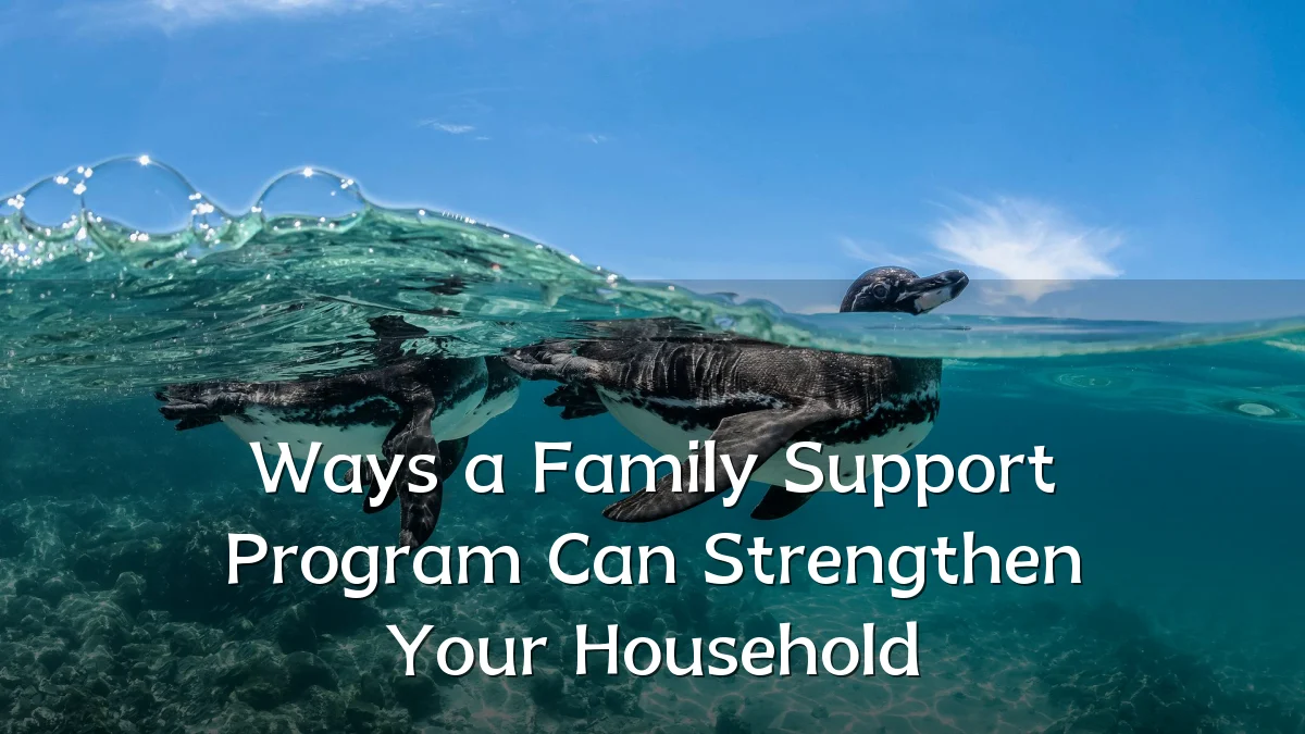 Ways a Family Support Program Can Strengthen Your Household