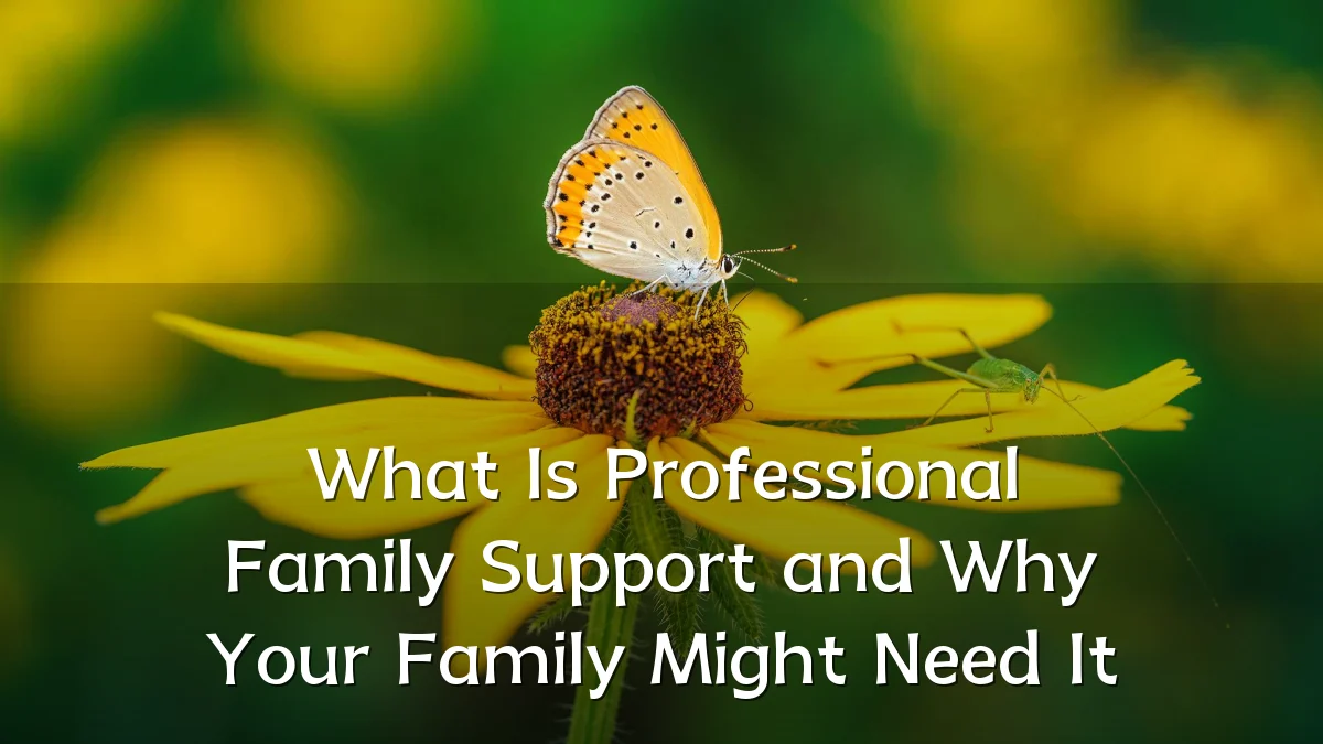 What Is Professional Family Support and Why Your Family Might Need It