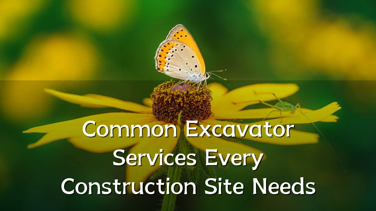 Common Excavator Services Every Construction Site Needs