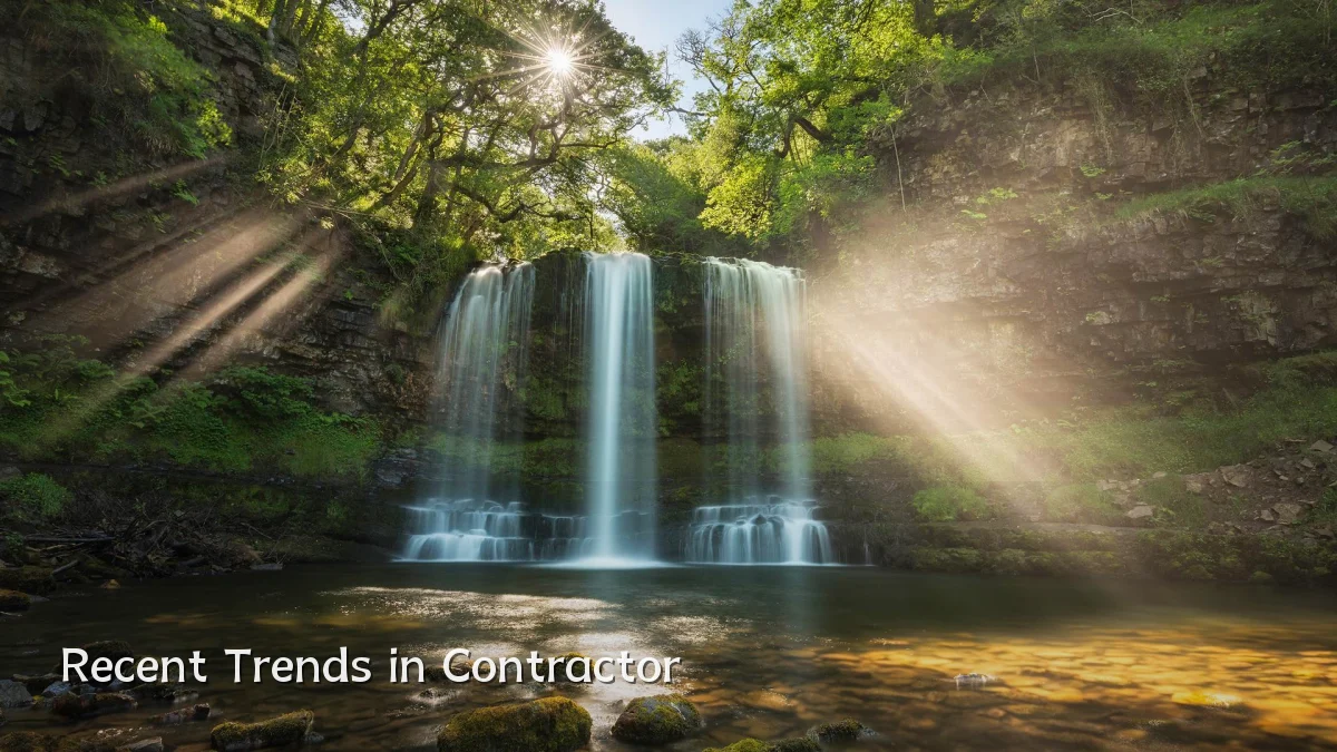Recent Trends in Contractor