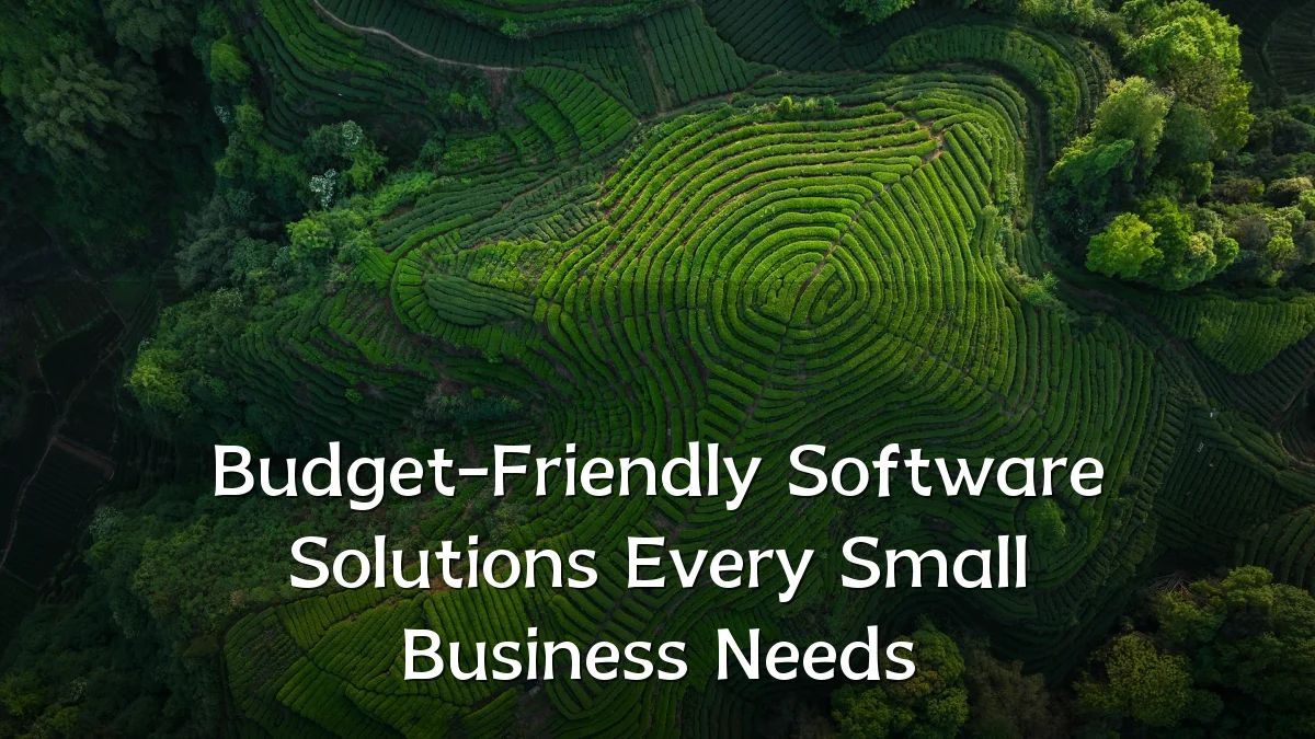 Budget-Friendly Software Solutions Every Small Business Needs