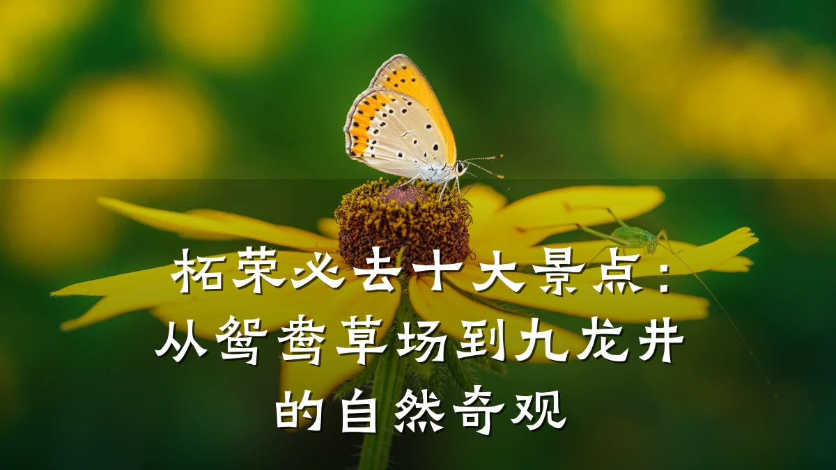 柘荣必去十大景点：从鸳鸯草场到九龙井的自然奇观