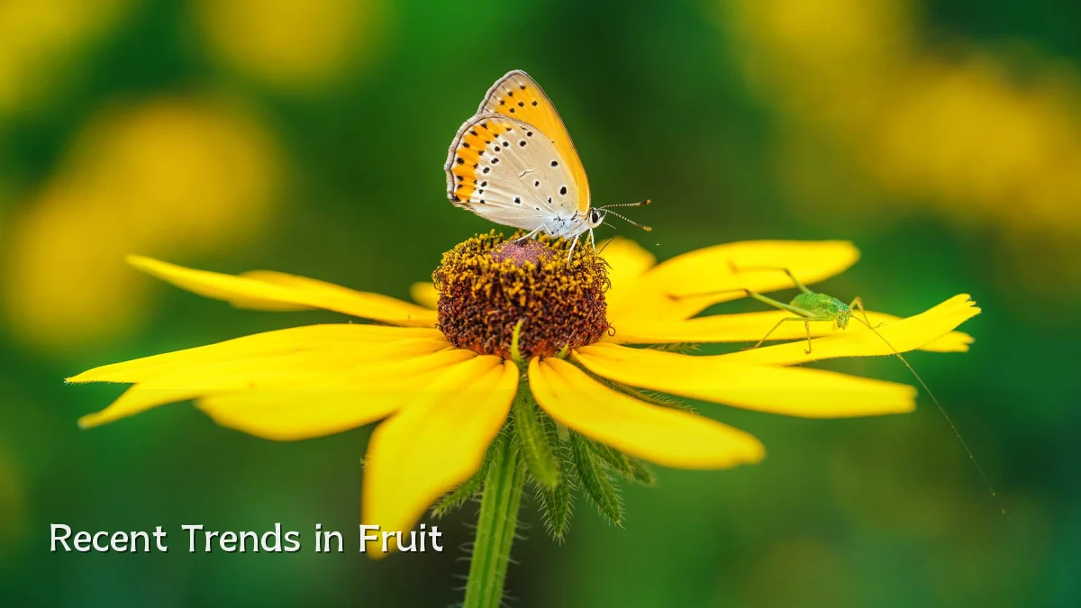 Recent Trends in Fruit